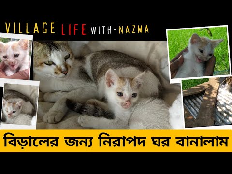 বিড়ালদের জন্য একটি আরামদায়ক আশ্রয়স্থল তৈরি Building a Cozy Haven for Cats | Rural Rescue Project