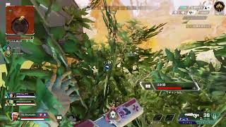 Apex legends 55インチエペ   ランク