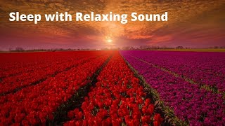 Deep sleep. Soothing Music for Sleep  Sleep with Relaxing Sound