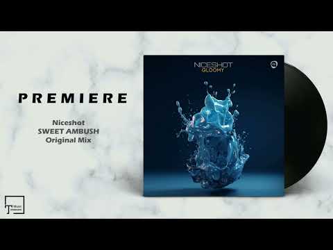 PREMIERE: Niceshot - Sweet Ambush (Original Mix) [ASYMMETRIC DIP]