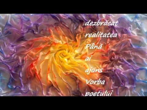 Dianei când e albastră song Celine Dion   Loved Me Back to Life