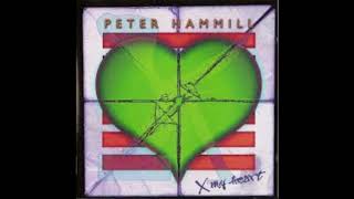 Peter Hammill -  Narcissus