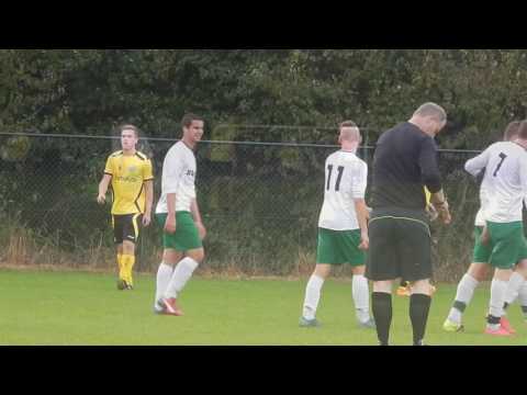 Samenvatting bsc halsteren 1