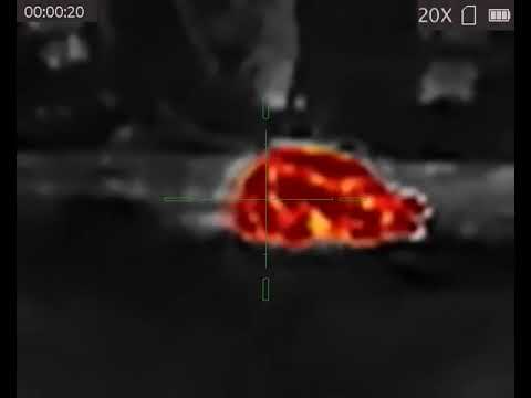 AGM Rattler takes care of business