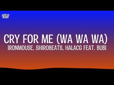 Cry For Me (WA WA WA) (feat. Bubi) - IRONMOUSE (Lyrics)