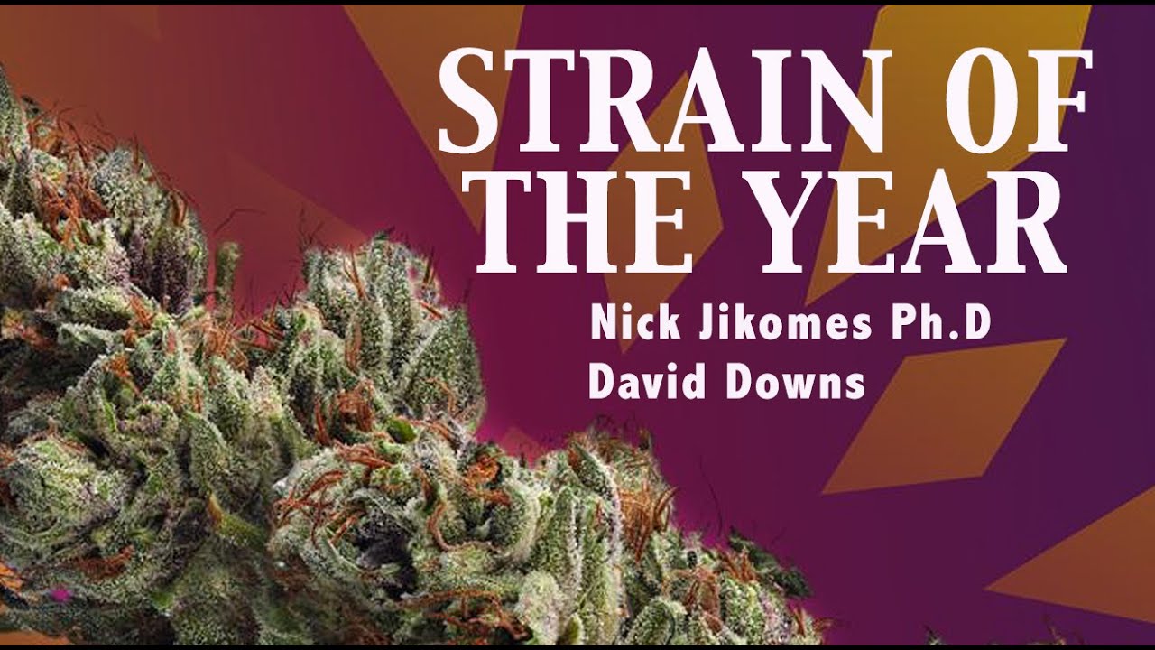 2020 CANNABIS STRAIN OF THE YEAR | LEAFLY