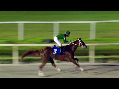 221204 c13 ALCOMPADRE