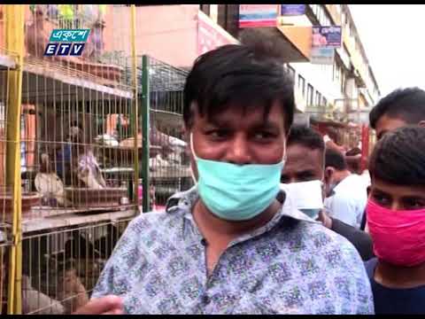 কোভিডের কারণে বেকার হয়ে পড়া নানা বয়সী মানুষ এখন কবুতর পালন করছেন