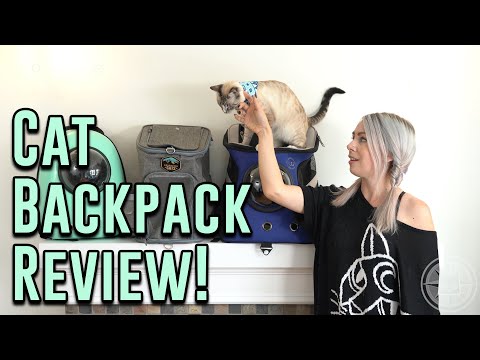 Cat Backpack Review!