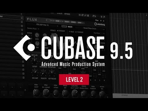 How To Use Cubase 9.5 Beginner Level 2 with Protoculture - Routing Busses and FX Sends