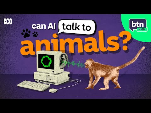 Can AI Help Us Talk To Animals? - BTN High