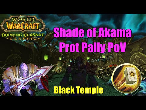 Shade of Akama Prot Pally PoV | TBC Classic Phase 3