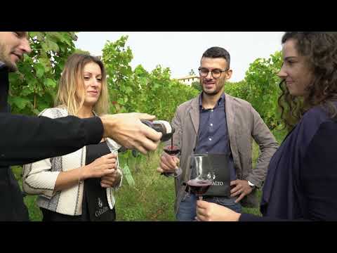 Visit Prosecco Hills - Cantina Collalto