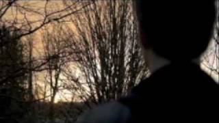 Back For The Taste Of Your Love - Stefan/Elena