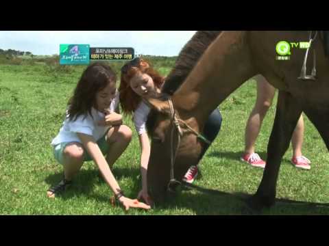 Gayoon vs. Horse