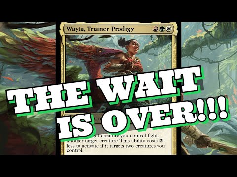 The Perfect Fight Commander! |EDH Deck Tech