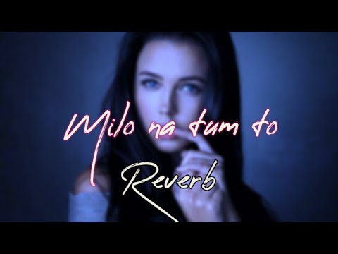 Reverb Milo na tum to Music17 rza