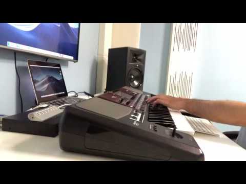 Zurna Sample Uzun Hava için Antep Yöresi Korg Pa4x Pa1000 Pa700 3x 2x 800