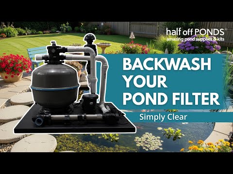 Half Off Ponds