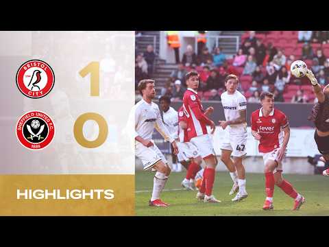 bg-highlight