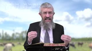 מסכת חולין דף יג - 8 דקות של לומדות ועמקות בדרך הלימוד הישיבתית [Hullin 13]