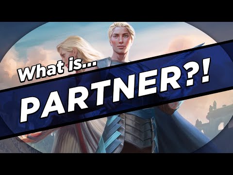 What IS Partner?!
