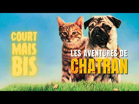 #06 - Les Aventures de Chatran