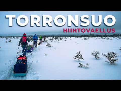 Hiihtovaelluksen harjoitusretki Torronsuon kansallispuistossa | Eräopasopinnot