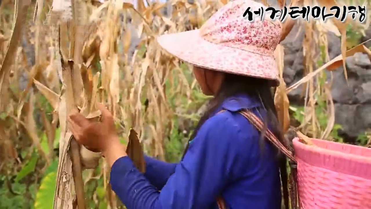 세계테마기행 - 동남아 소수민족 기행- 마피랭 협곡의 부족들_#002