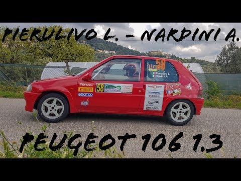 Rally delle Colline Metallifere 2019 Pierulivo - Nardini CAMERACAR ps4