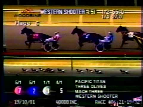 Western Shooter - 2001 Breeders Crown - Two-Year-Old Colt Pacers - Mohawk Racetrack
