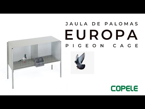 Slide 2 - Copele "Europa" 2 compartment Pigeon Cage w/Legs, Solid Back (video)