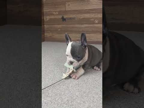 Video 5