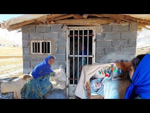 "Striving for a Better Life: The Story of a Mother and Her Baby"