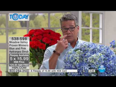 HSN | HSN Today: Lawn & Garden 05.05.2017 - 07 AM