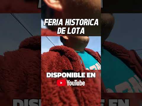 #Lota #FeriaDeLota #Biobío #Chile #MiloskiTV