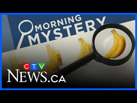 Which song's iconic guitar riff was an accident? | Morning Mystery