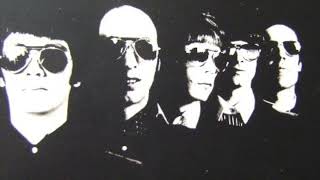 The Flamin' Groovies: I Saw Her
