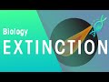 Extinction of Species | Evolution | Biology | FuseSchool