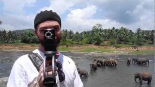 Steadicam PROMO Sri Lanka Davidsbeenhere