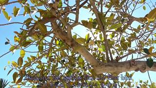 [問卦] 清晨的節奏響起 向世界說聲早安