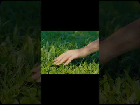 I Remember His Hands thumbnail