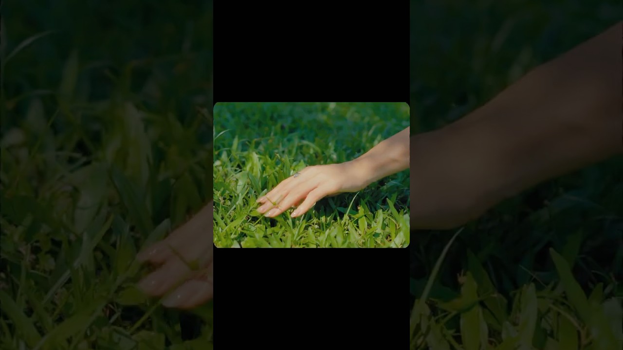 I Remembe His Hands thumbnail