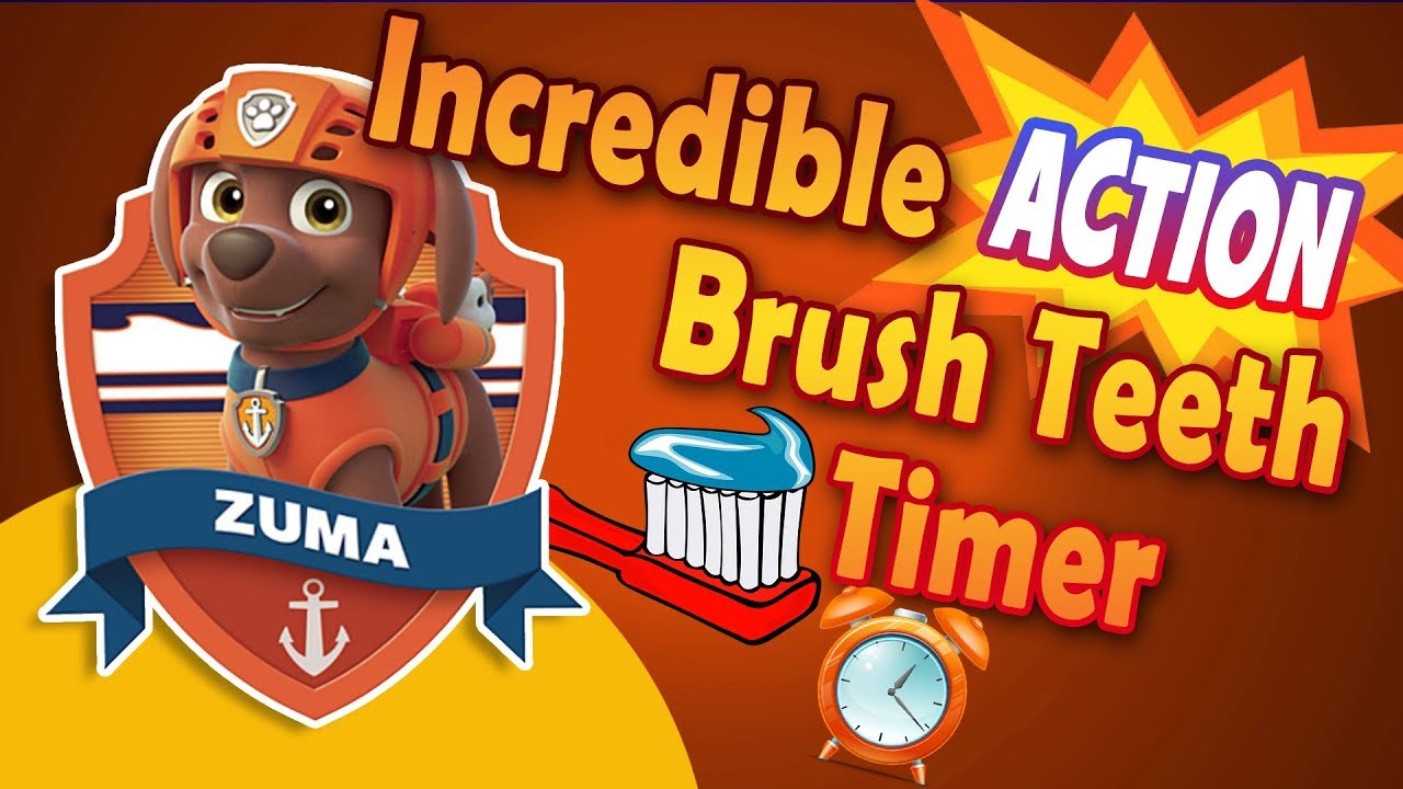 Incredible Action Timer Paw Patrol - Zuma