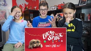 Lucas The Spider - Don't Eat Me REACTION