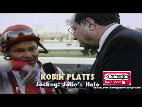 1991 Gulfstream Park HDCP   JOLIES HALO STEPS FORWARD TRR 01 03 22