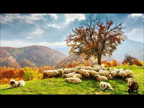 Muharrem Ramaj Kaba Baritore me Fyell 068 25 26 890