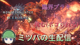 【 MHW:IB】あつ森？いいえ、ブラキです