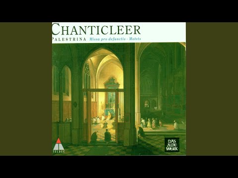 Motettorum liber quartus "Canticum canticorum": No. 2, Trahe me post te