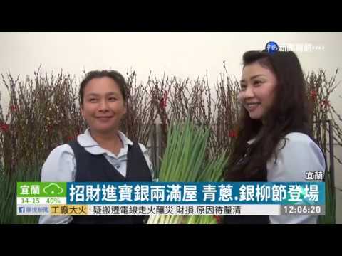 三星蔥拍賣價累計破2億 14年來新高